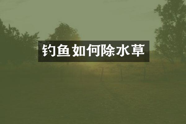 钓鱼如何除水草