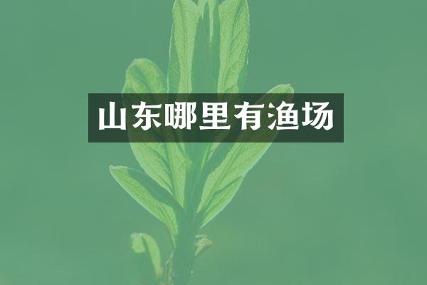 山东哪里有渔场