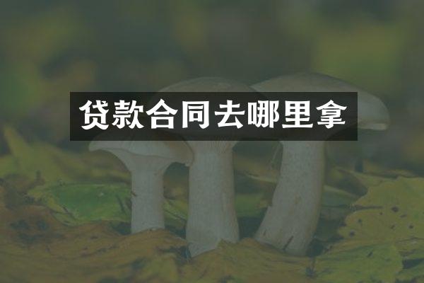 贷款合同去哪里拿