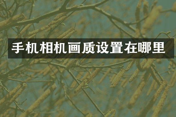 手机相机画质设置在哪里