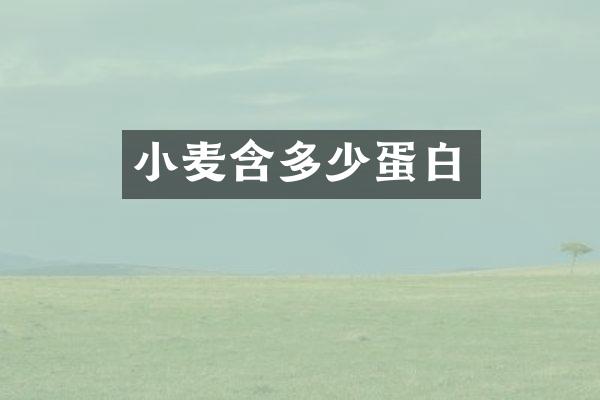 小麦含多少蛋白