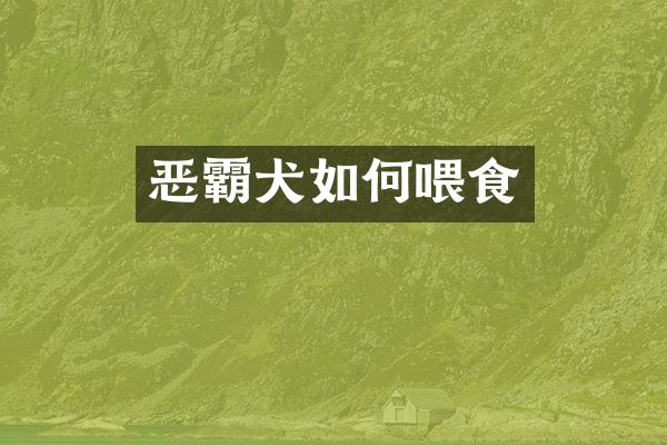 恶霸犬如何喂食