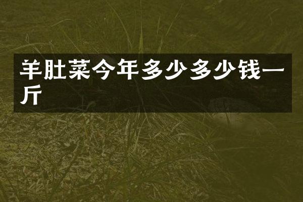 羊肚菜今年多少多少钱一斤