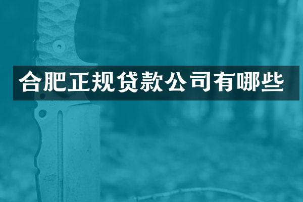 合肥正规贷款公司有哪些