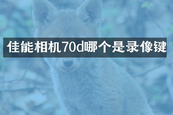 佳能相机70d哪个是录像键