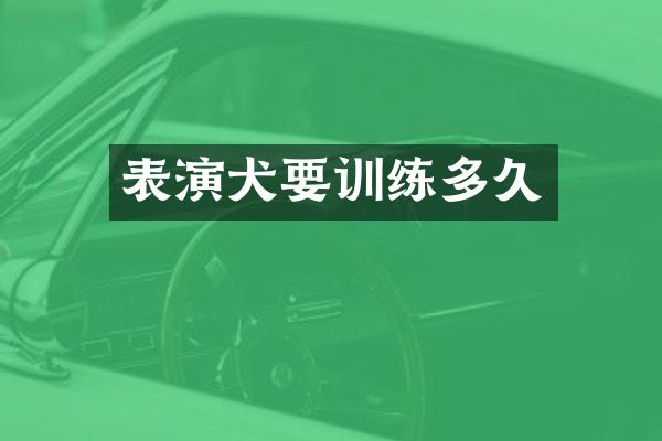 表演犬要训练多久