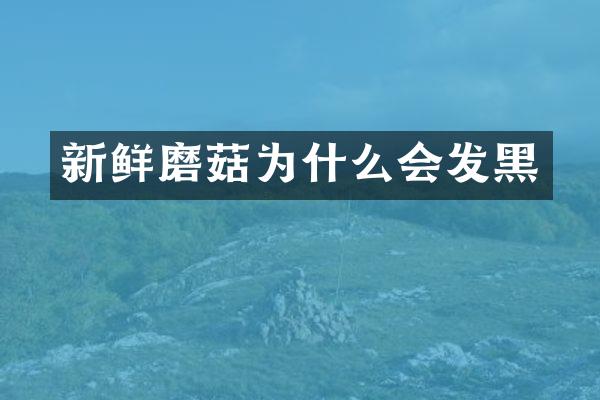 新鲜磨菇为什么会发黑