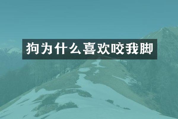 狗为什么喜欢咬我脚