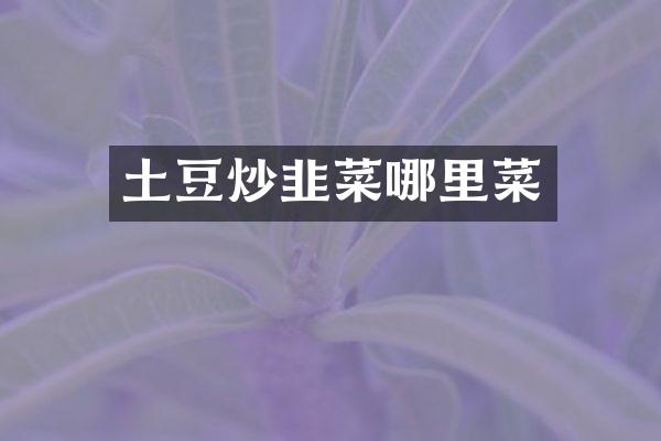 土豆炒韭菜哪里菜