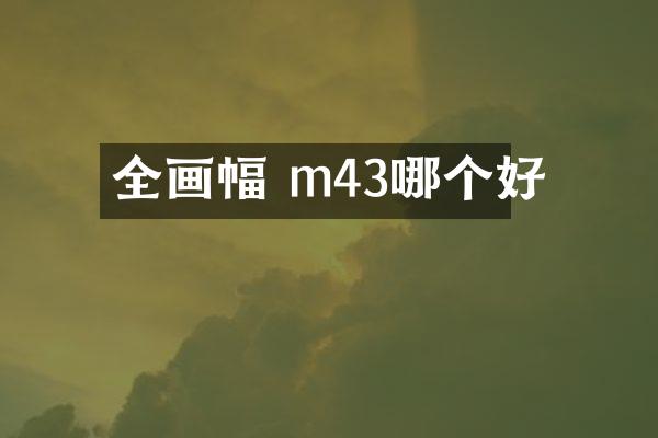 全画幅 m43哪个好