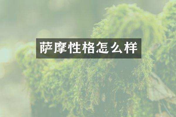 萨摩性格怎么样