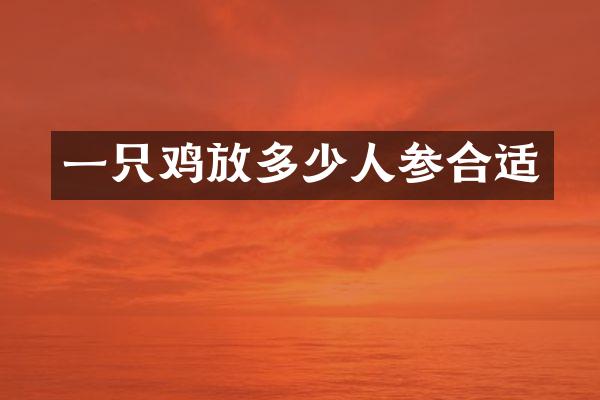 一只鸡放多少人参合适