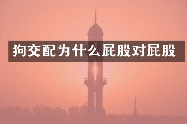 狗交配为什么屁股对屁股