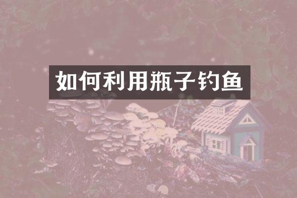 如何利用瓶子钓鱼