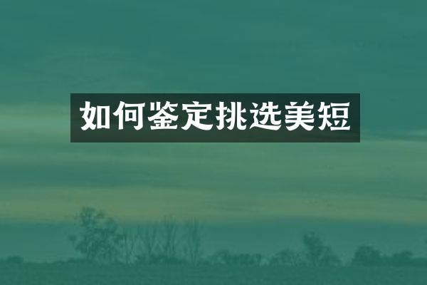 如何鉴定挑选美短