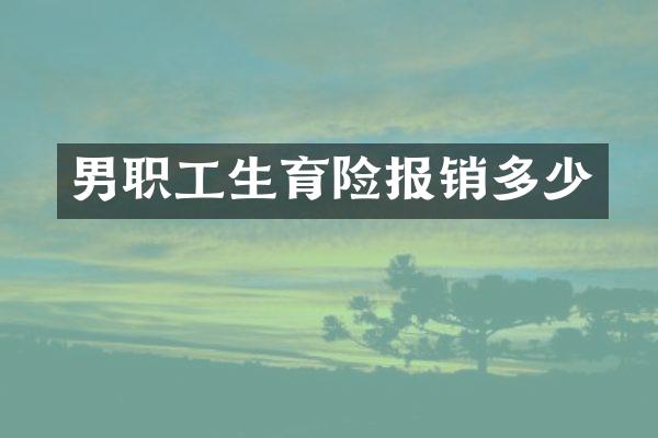 男职工生育险报销多少