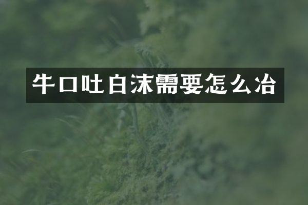 牛口吐白沫需要怎么冶