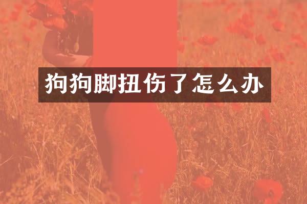 狗狗脚扭伤了怎么办