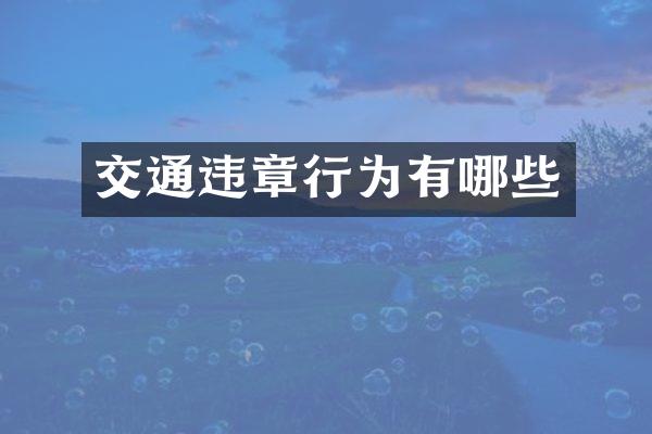 交通违章行为有哪些