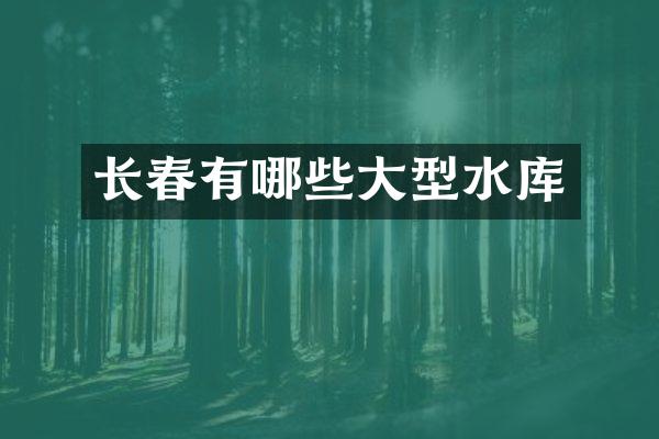 长春有哪些大型水库