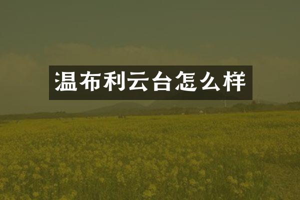 温布利云台怎么样