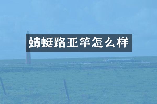 蜻蜓路亚竿怎么样