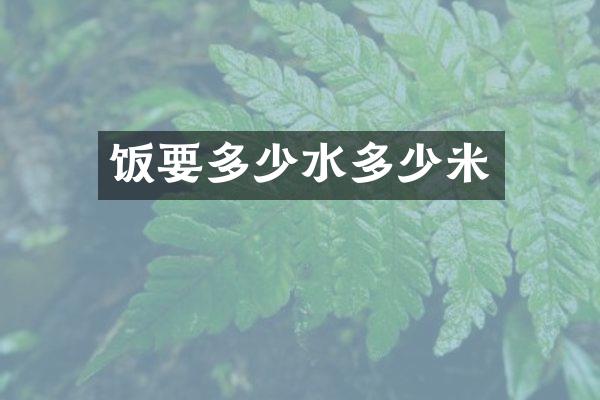 饭要多少水多少米