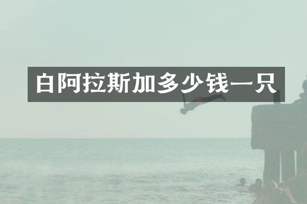 白阿拉斯加多少钱一只