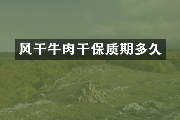风干牛肉干保质期多久