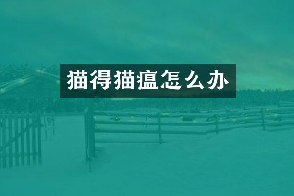 猫得猫瘟怎么办