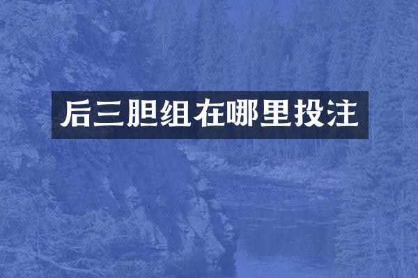 后三胆组在哪里