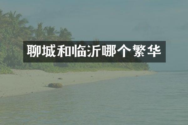 聊城和临沂哪个繁华