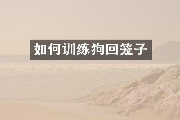 如何训练狗回笼子
