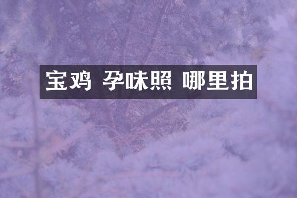 宝鸡 孕味照 哪里拍