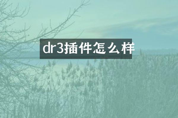 dr3插件怎么样