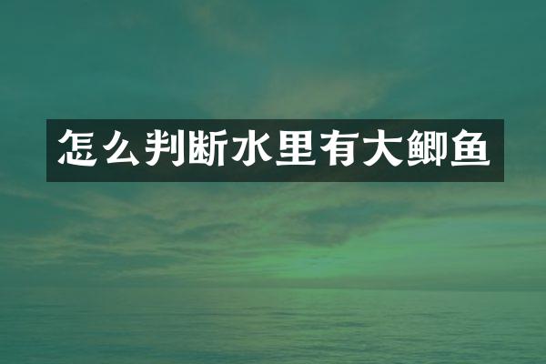 怎么判断水里有大鲫鱼