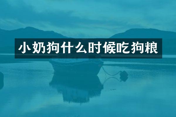 小奶狗什么时候吃狗粮