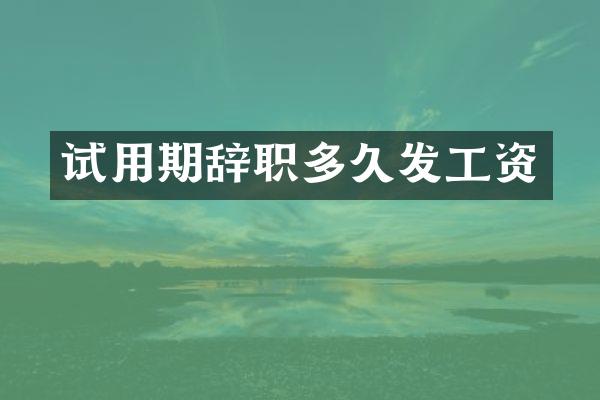 试用期辞职多久发工资