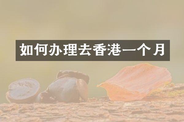 如何办理去香港一个月