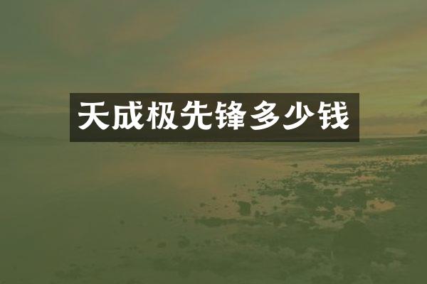 天成极先锋多少钱