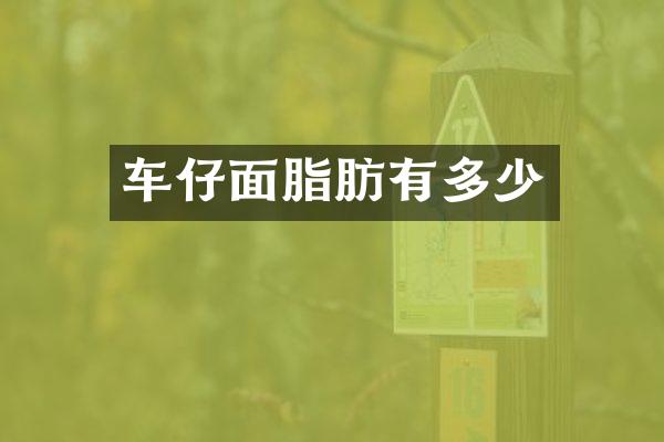 车仔面脂肪有多少