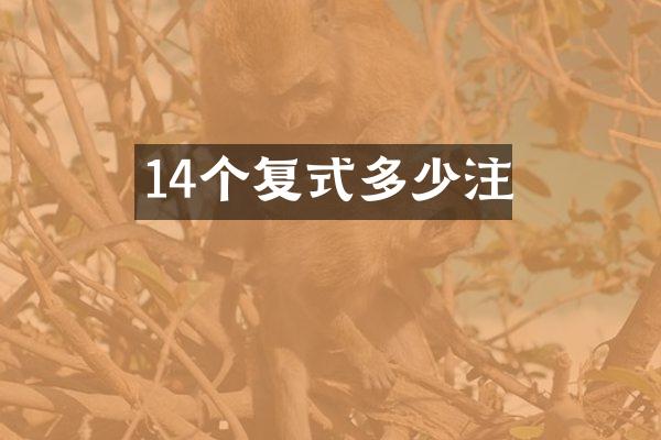 14个复式多少注