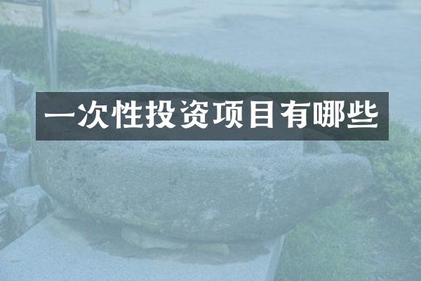一次性投资项目有哪些