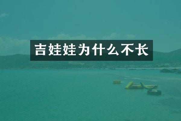 吉娃娃为什么不长