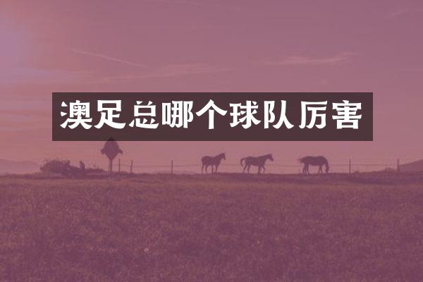 澳足总哪个球队厉害