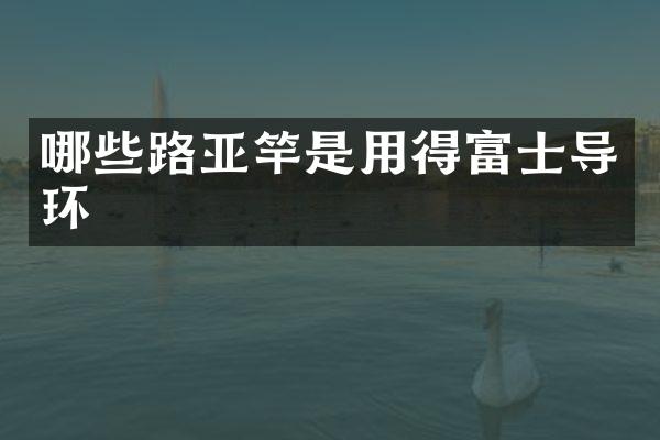 哪些路亚竿是用得富士导环