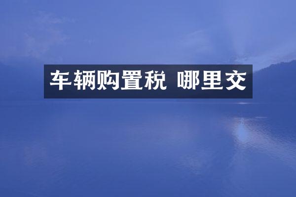 车辆购置税 哪里交