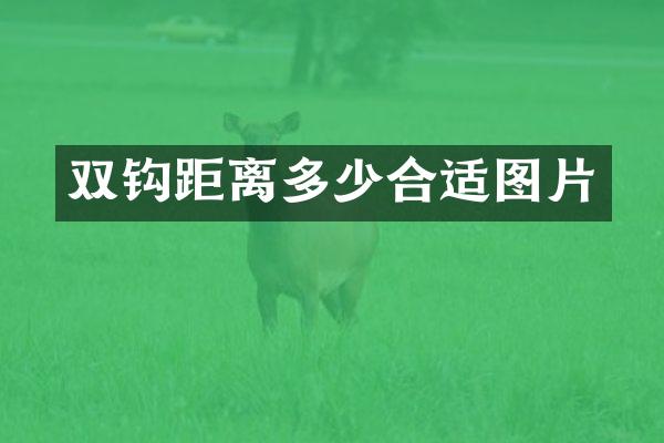 双钩距离多少合适图片