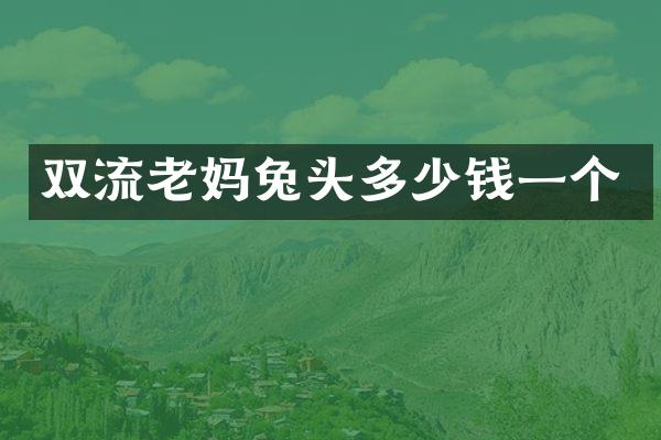 双流老妈兔头多少钱一个