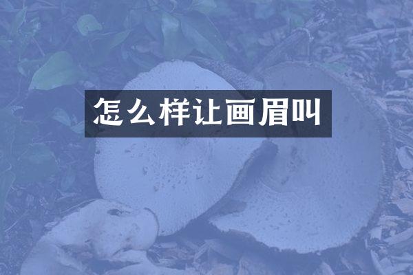 怎么样让画眉叫